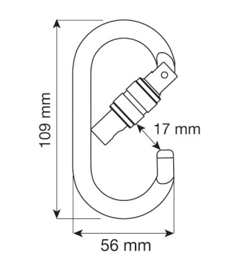 Карабин CAMP Oval Pro Lock21