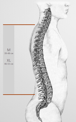 Рюкзак Bask Light 75 V2 M (т.серый)24