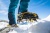 Кошки GRIVEL G12 New Matic23 Кошки GRIVEL G12 New Matic23