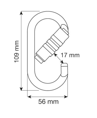 Карабин CAMP Oval Pro 2Lock21