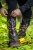 Гамаши VIKING Kanion 2 XL (Camouflage)29 Гамаши VIKING Kanion 2 XL (Camouflage)29