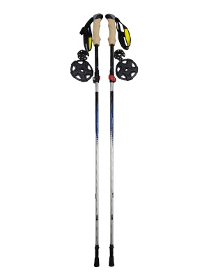 Палки трекинговые Talberg Ultra-Z Pole, blue22